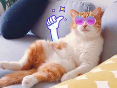 -米纸越南小馆(金鹰世界店)