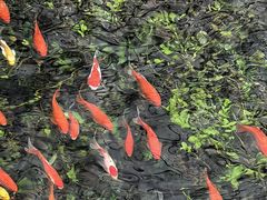 -水磨沟公园