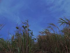 -东极岛景区