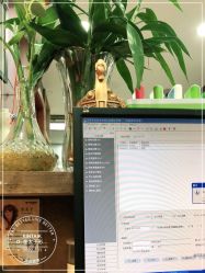 -金太子形象设计