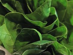 -南门四季铜锅涮肉(大屯·北苑店)