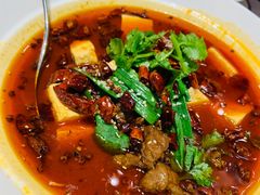 -新吉士·上海菜(浦东LCM置汇旭辉店)