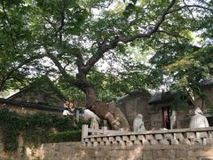 -青岛崂山太清宫