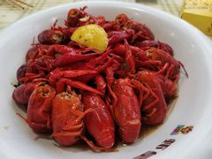 -虾皇(龙虾城旗舰店)