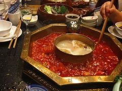 -蜀九香火锅(彩虹店)