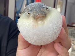 -乡乐园蟹庄·阳澄湖农家乐