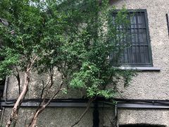 -上海蔡元培故居陈列馆