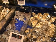 -高佳庄·舟山海鲜(海景旗舰店)