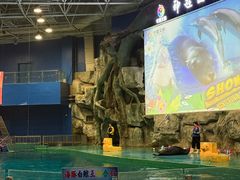 -威海华夏城景区