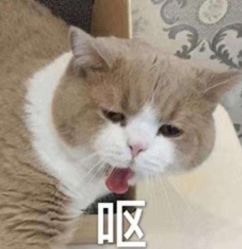 -小阿福儿童摄影(光谷时代广场店)