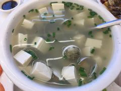 南沙贝豆腐汤-渔中舟海鲜大排档(普陀沈家门店)