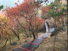 -北京十三陵国家森林公园蟒山景区