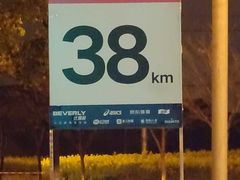 -贡湖湾湿地公园