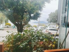 -野菌皇海景野生菌火锅(滨海大道店)
