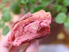 -Juicy Bakery(大学路店)