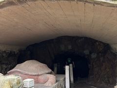 -上海佘山国家森林公园天马山园