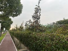 -菊园百果园
