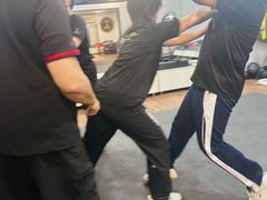 -温鉴良实用咏春拳