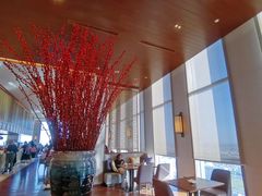 靠窗位-嘉定凯悦·咖啡厅