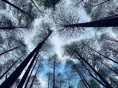 -山王坪喀斯特国家生态公园
