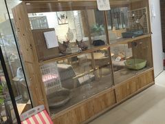 -藏猫猫咖啡主题馆(中央大道店)