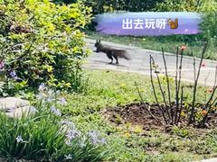 -国家植物园南园