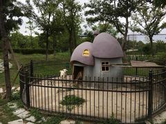 -上海滴水湖皇冠假日酒店