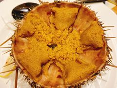 海胆-萨拉伯尔水源素问店·韩国宫廷料理(人民路店)