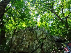 -皇藏峪国家森林公园