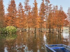 -白鹭湾湿地公园