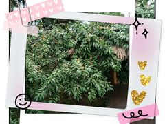 -三圣里·中餐宴请·自助烤肉·烤全羊·柴火鸡(旗舰店)