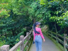 -雁荡山风景名胜区