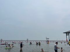 -碧海金沙