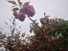 -杭州城北体育公园