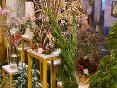 门面-蝶舍·MAISON PAPILLON