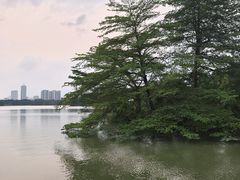 -海珠湖公园