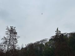-重庆彩云湖湿地公园