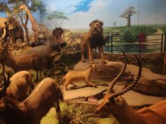 -陕西自然博物馆