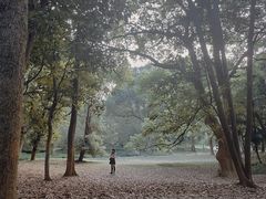 -杭州植物园