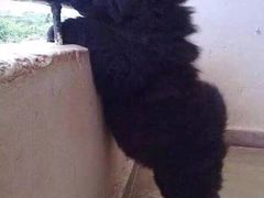 -合和大唐(福永店)