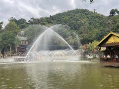 -西双版纳原始森林公园