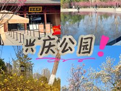 -西安电影制片厂