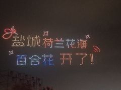 -荷兰花海