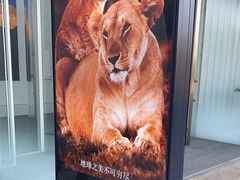 -罗红摄影艺术馆