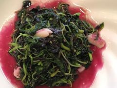 -碧丽宫大酒店(召稼楼店)