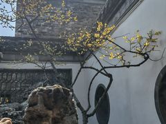 -个园