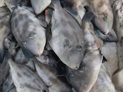 -芦潮港集贸市场