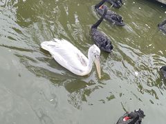 -无锡动物园·太湖欢乐园