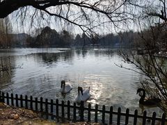 -扬州市茱萸湾风景区