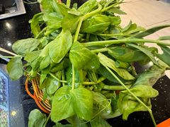 -草墩罗非鱼庄•野生菌•腊排骨(七星街上段店)